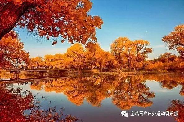 怎样调节好自己的情绪？游戏画面